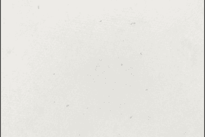 White Q Shield After 10 Cycles of Torch Testing at 836F