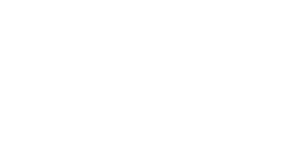 Q Shield