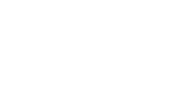 Q Shield
